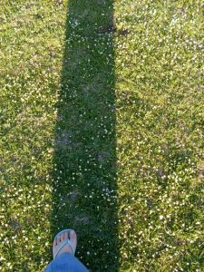 infradito e margherite