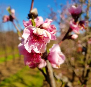 8961e546-3ec2-406d-b4d6-4935b2c3f3eb